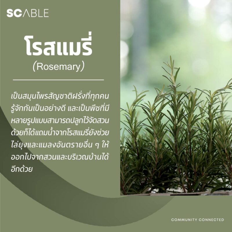 SC ABLE :: บริษัทบริหารงานนิติบุคคล