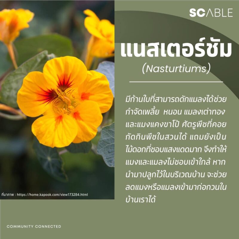 SC ABLE :: บริษัทบริหารงานนิติบุคคล