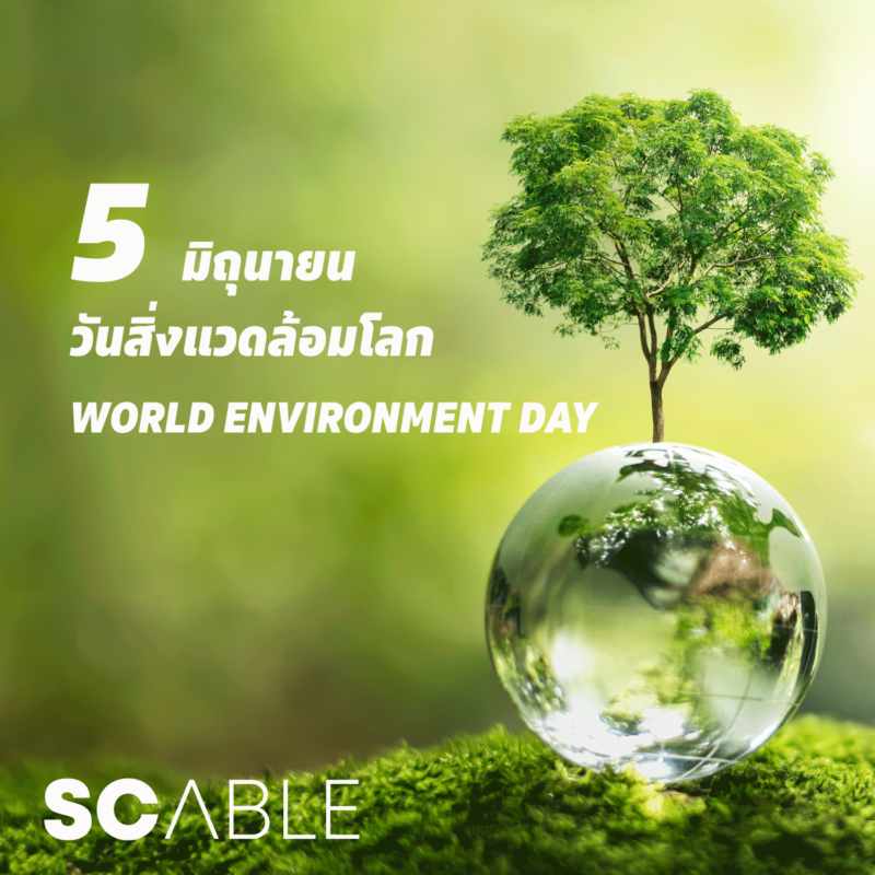 SC ABLE :: บริษัทบริหารงานนิติบุคคล